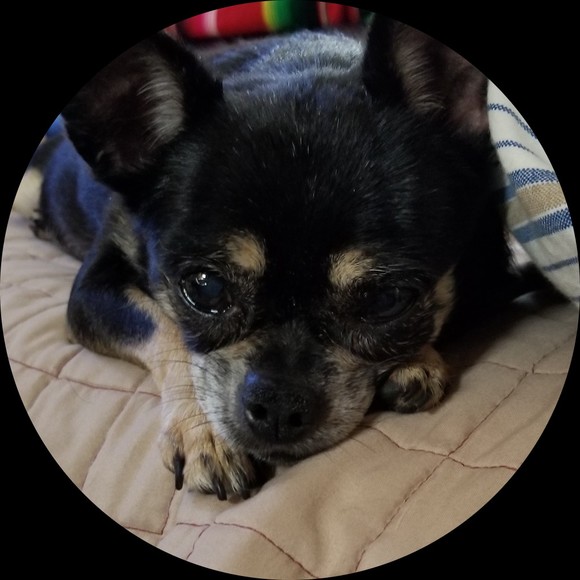 punky0789
